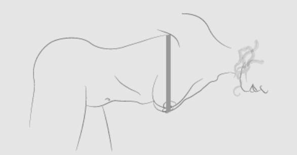 How to measure bust size while leaning forward - alternative method for accurate bra cup size measurement